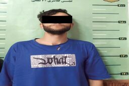 ادعای عجیب سارقی که به انباری خانه‌ها دستبرد می‌زد