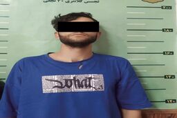 ادعای عجیب سارقی که به انباری خانه‌ها دستبرد می‌زد