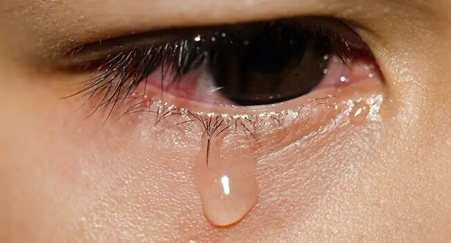 فریب دختری که رویایی خوانندگی داشت