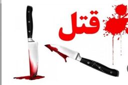 دستگیری دو برادر در پرونده جنایت خانوادگی تویسرکان