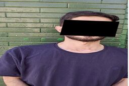 شکارچیان کامیون با شلیک پلیس به تله افتادند