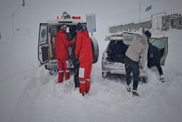 عملیات نجات پنج گمشده موفقیت آمیز بود 