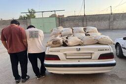 کشف 120 کیلوگرم تریاک در عملیات پلیس داراب

